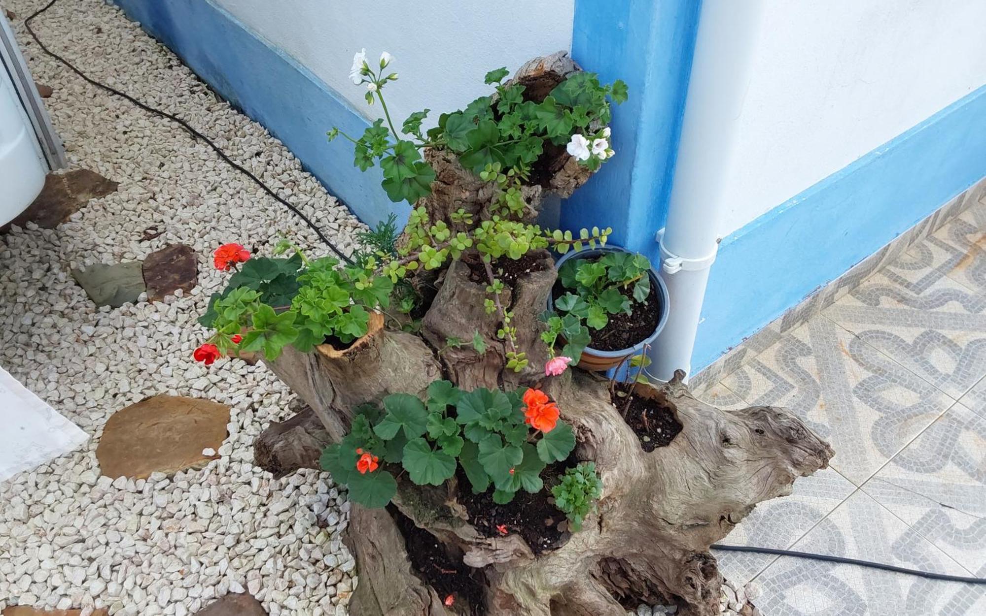 Casa Do Brejao Campo E Praia オデミラ エクステリア 写真